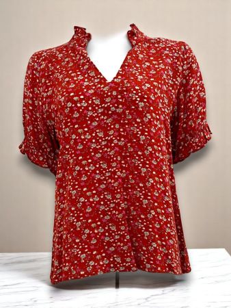 SC04200 - Scarlet Bloom Ruffle Neck Top